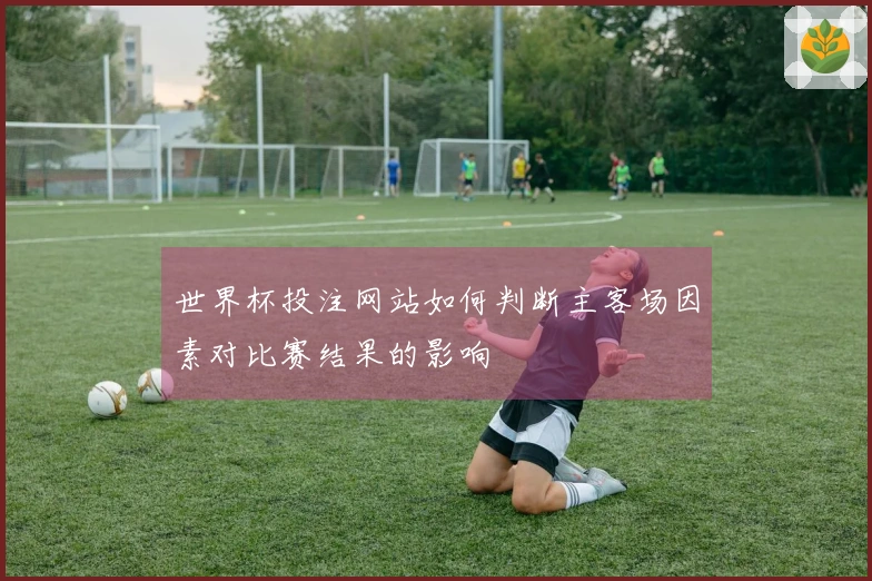 世界杯投注网站如何判断主客场因素对比赛结果的影响