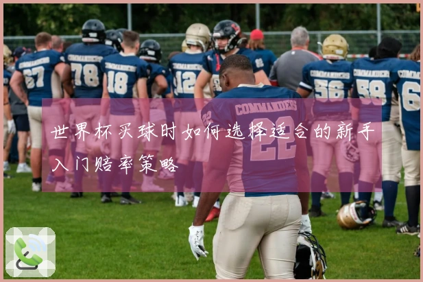 世界杯买球时如何选择适合的新手入门赔率策略