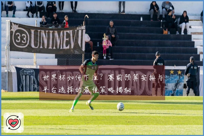 世界杯如何下注？赛前预算安排与平台选择的最佳策略揭秘